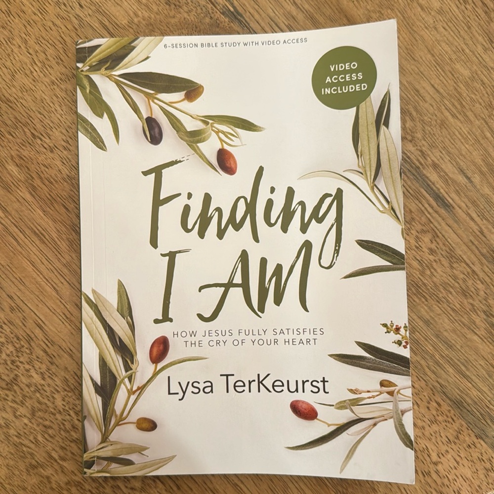 Finding I Am by Lisa TerKeurst